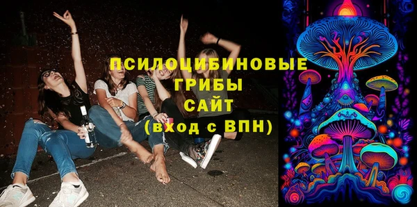 мяу мяу мука Аркадак