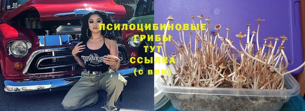 мяу мяу мука Аркадак