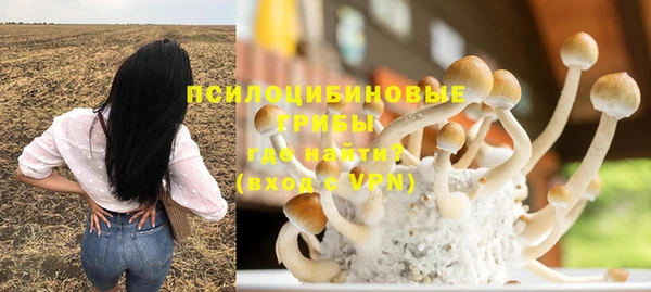 прущие крисы Арсеньев