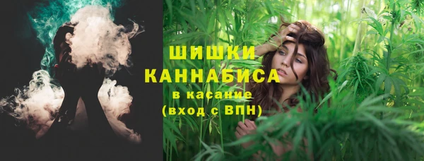 мяу мяу мука Аркадак