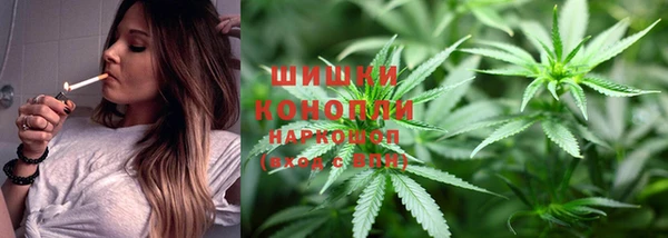 прущие крисы Арсеньев