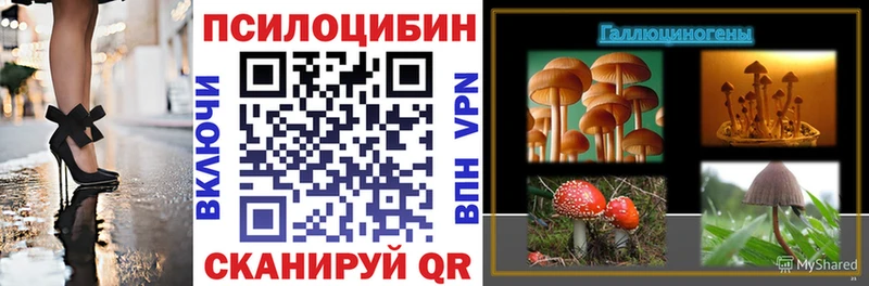 купить   Обоянь  Галлюциногенные грибы Psilocybe 